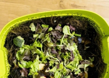 I v paneláku můžete kompostovat