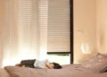 Rolety chrání soukromí i stín